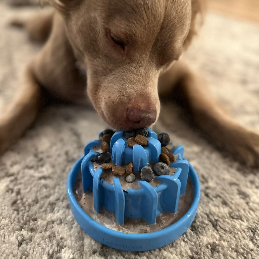 FreezLava Heavy - Duty Enrichment Chew - Ulti - Mutt Toys