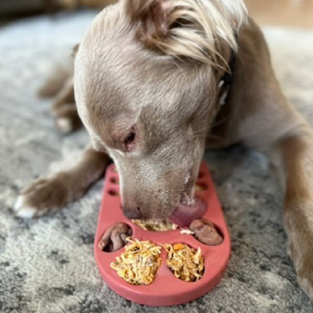 FreezPaw Mat - Calming Slow Feeder - Ulti - Mutt Toys