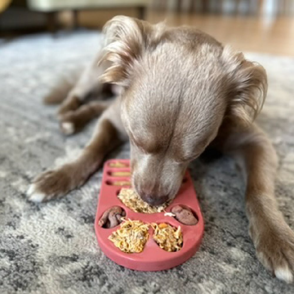 FreezPaw Mat - Calming Slow Feeder - Ulti - Mutt Toys