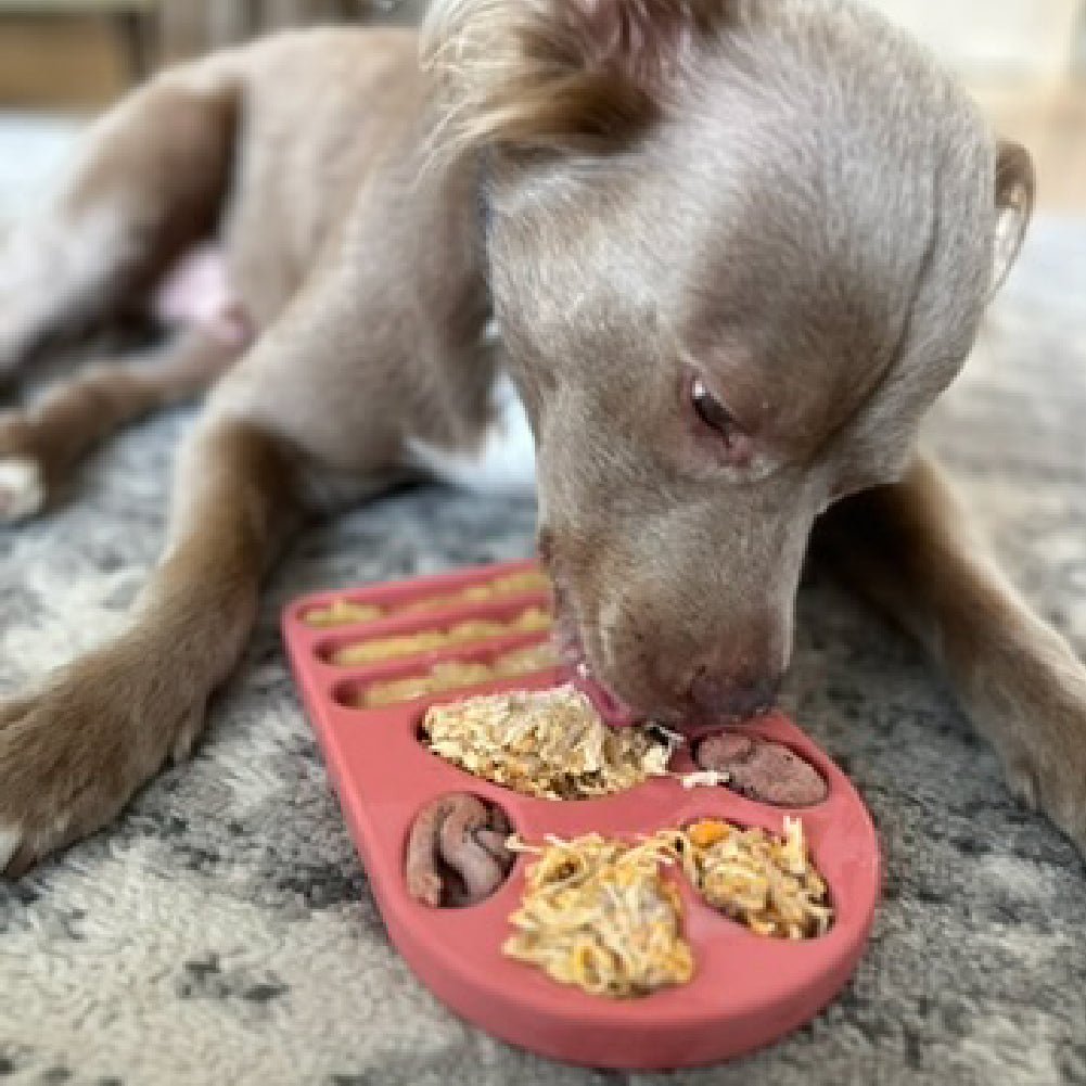 FreezPaw Mat - Calming Slow Feeder - Ulti - Mutt Toys