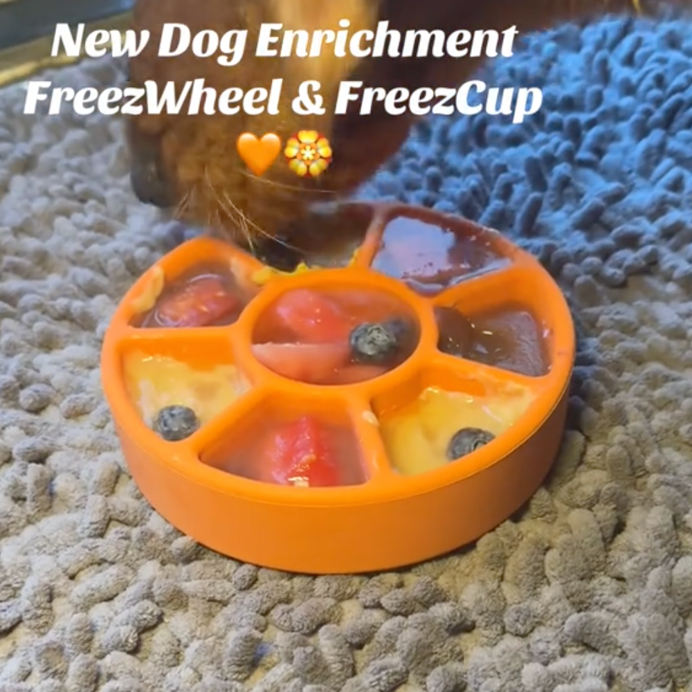FreezWheel - Durable Interactive Chew - Ulti - Mutt Toys