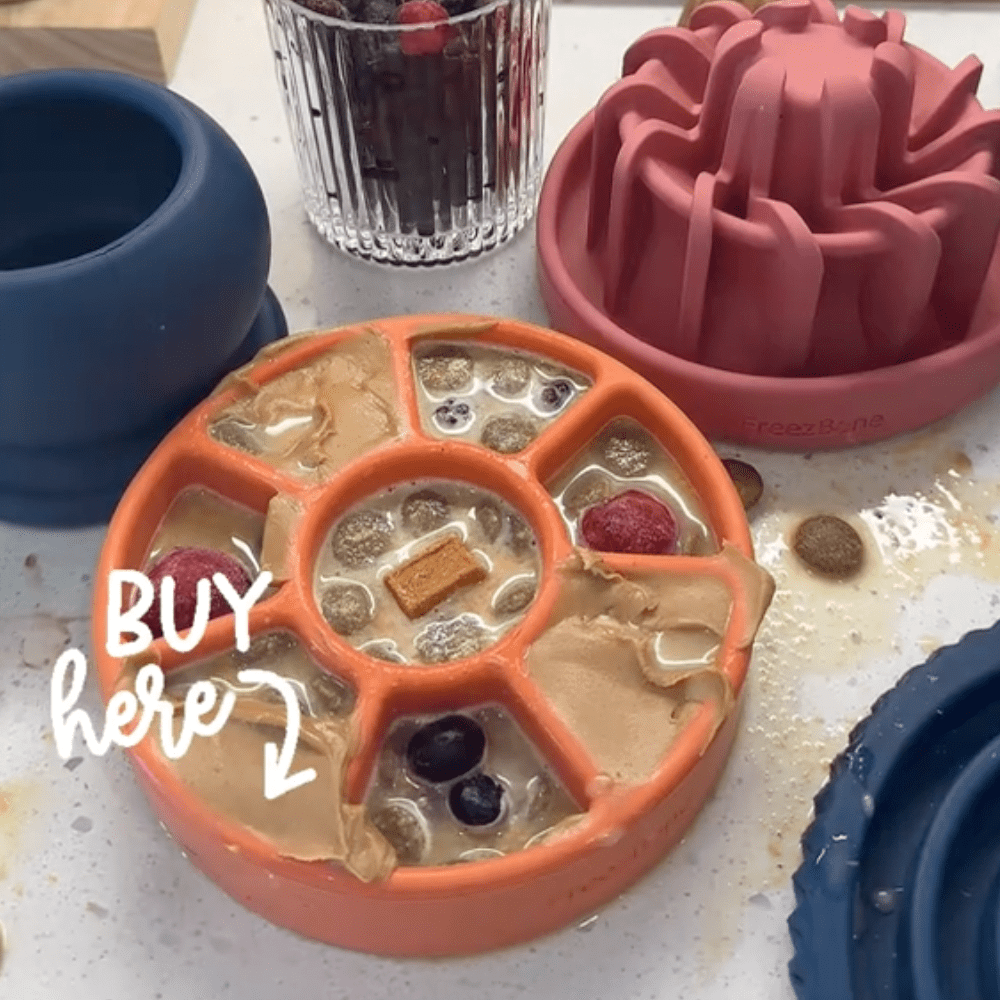 FreezWheel - Durable Interactive Chew - Ulti - Mutt Toys