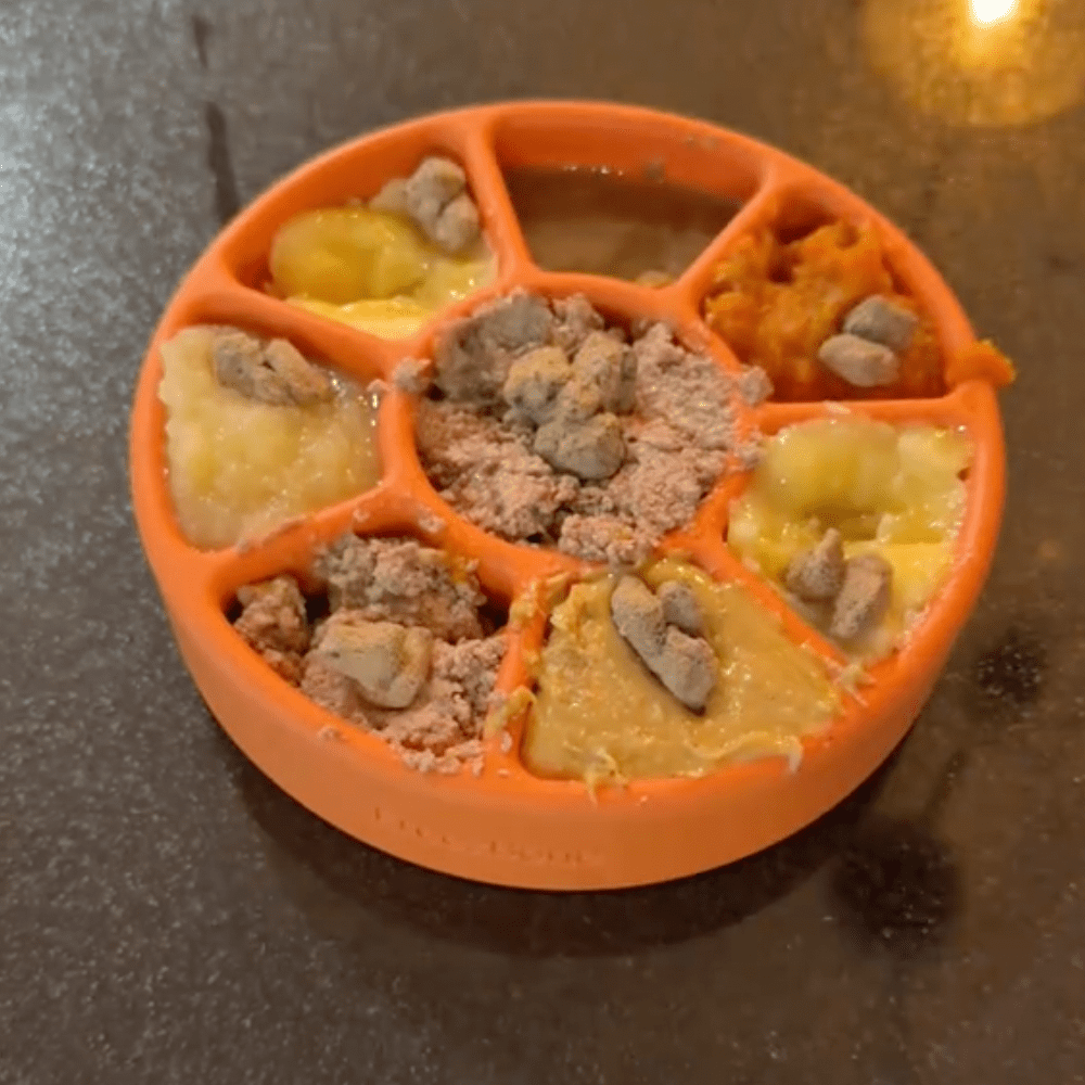 FreezWheel - Durable Interactive Chew - Ulti - Mutt Toys