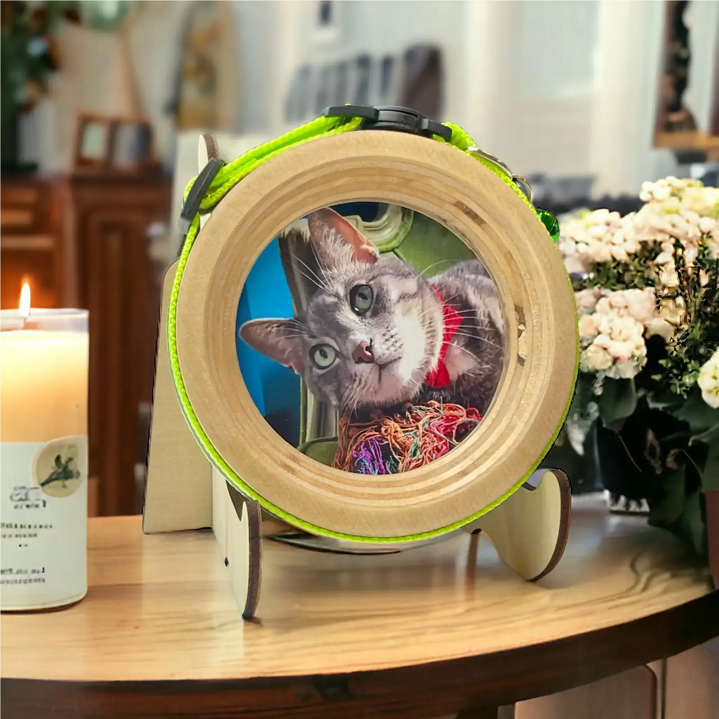 Cat Collar Frame and Stand Bundle | "The Garfield"