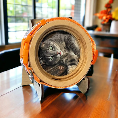 Cat Collar Frame and Stand Bundle | "The Garfield"