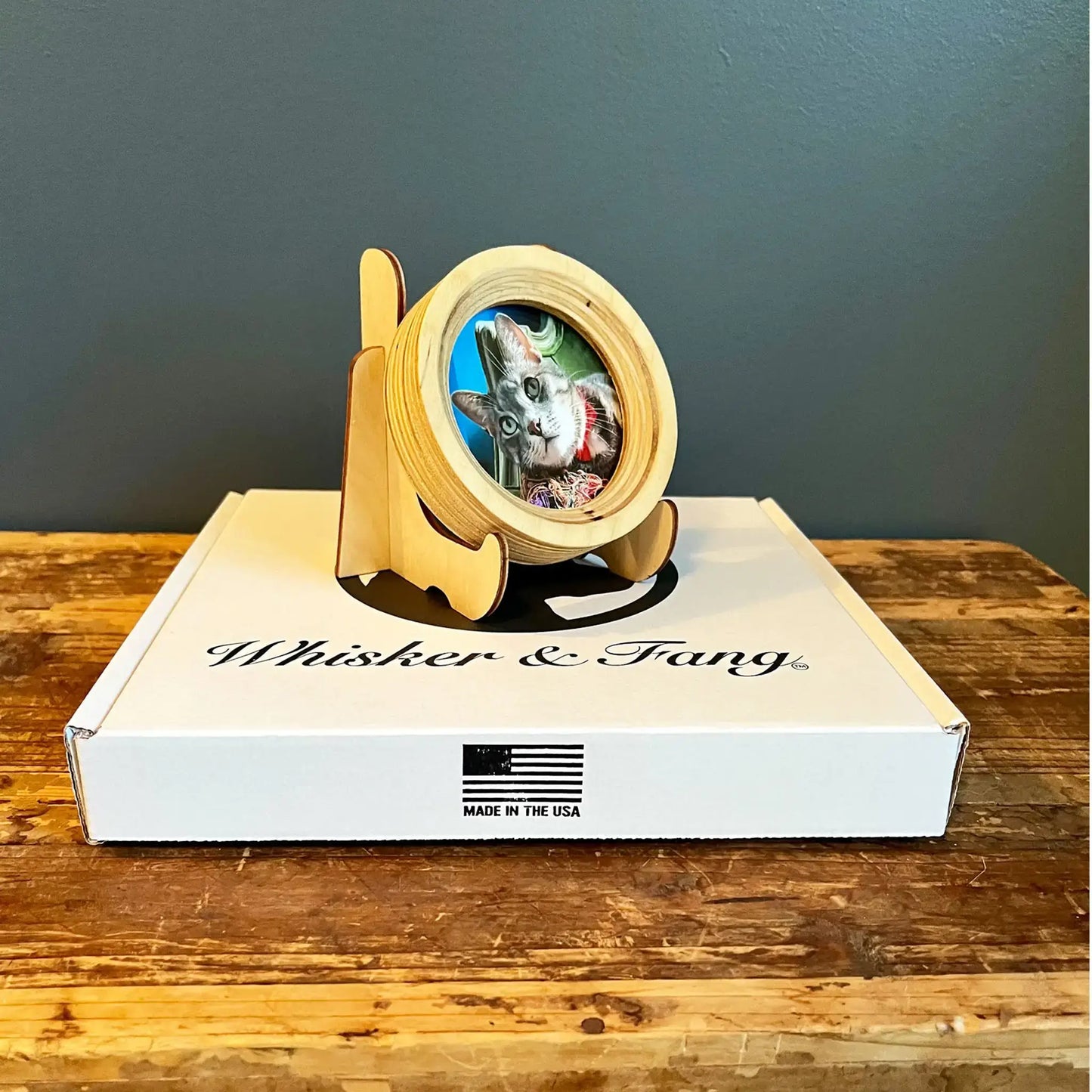 Cat Collar Frame and Stand Bundle | "The Garfield"