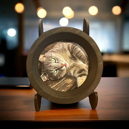 Cat Collar Frame and Stand Bundle | "The Garfield"