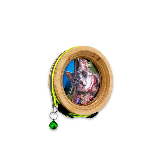 Cat Collar Frame |"The Garfield"