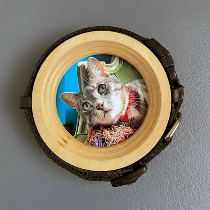 Cat Collar Frame |"The Garfield"