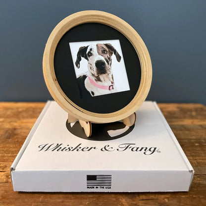 Extra Large Dog Collar Frame and Stand Bundle | "The Great Dane"