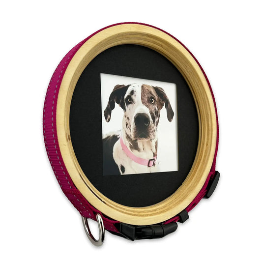 Extra Large Dog Collar Frame | "The Great Dane"