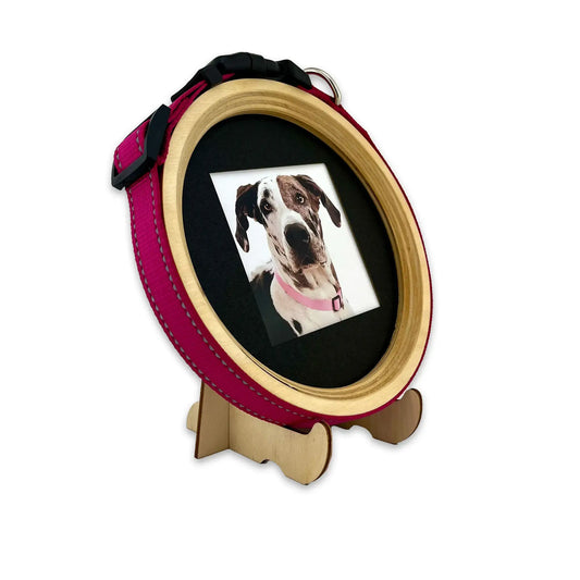 Extra Large Dog Collar Frame and Stand Bundle | "The Great Dane"