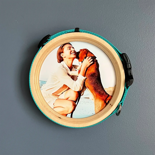 Extra Large Dog Collar Frame | "The Great Dane"