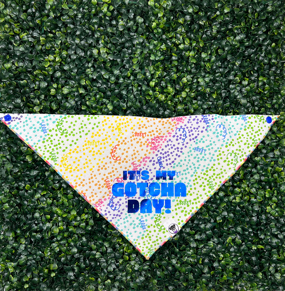 Gotcha Day Bandana - Ulti-Mutt Toys
