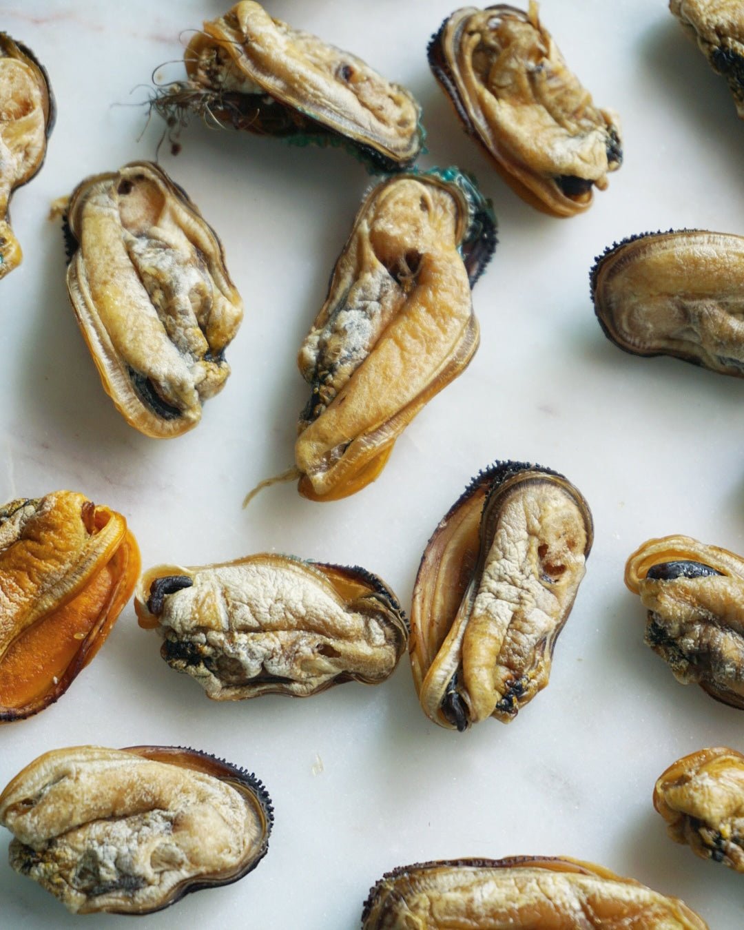 Green Lipped Mussels (+Freeze Dried Options) - Ulti - Mutt Toys