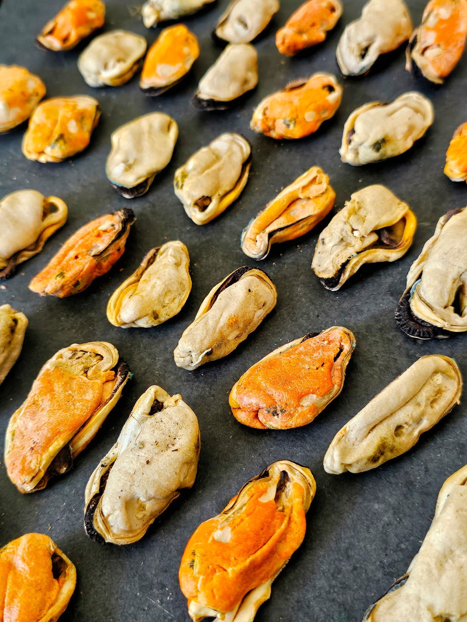 Green Lipped Mussels (+Freeze Dried Options) - Ulti - Mutt Toys