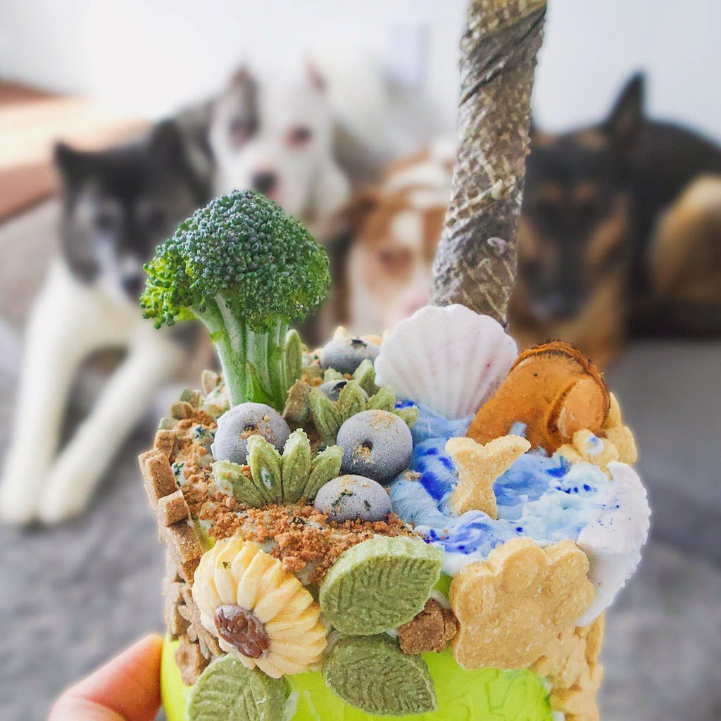 Green Lipped Mussels (+Freeze Dried Options) - Ulti - Mutt Toys