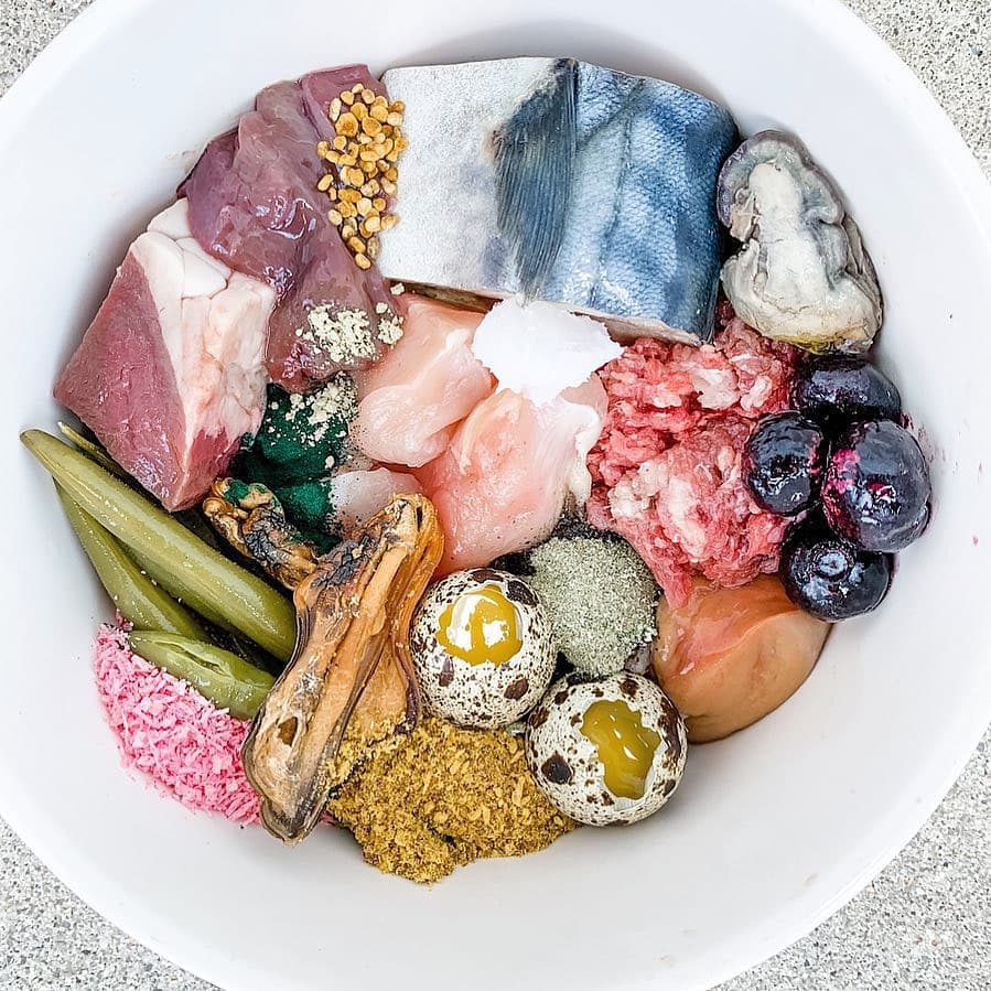 Green Lipped Mussels (+Freeze Dried Options) - Ulti - Mutt Toys