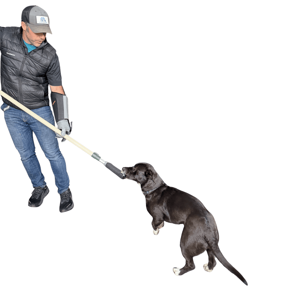 Humane Innovations Y Pole System - Ulti-Mutt Toys