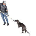 Humane Innovations Y Pole System - Ulti-Mutt Toys