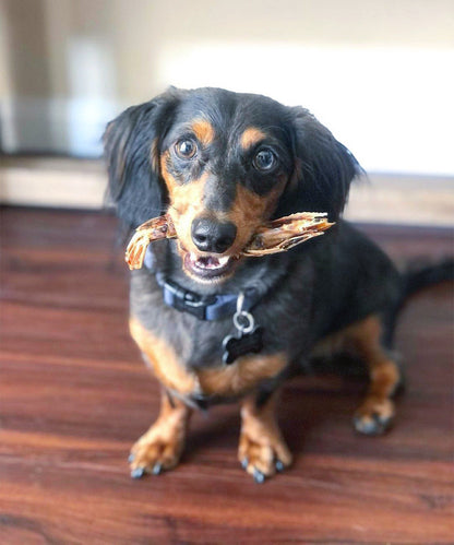 Shrimp (+Freeze Dried Options)