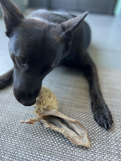Lamb Ears