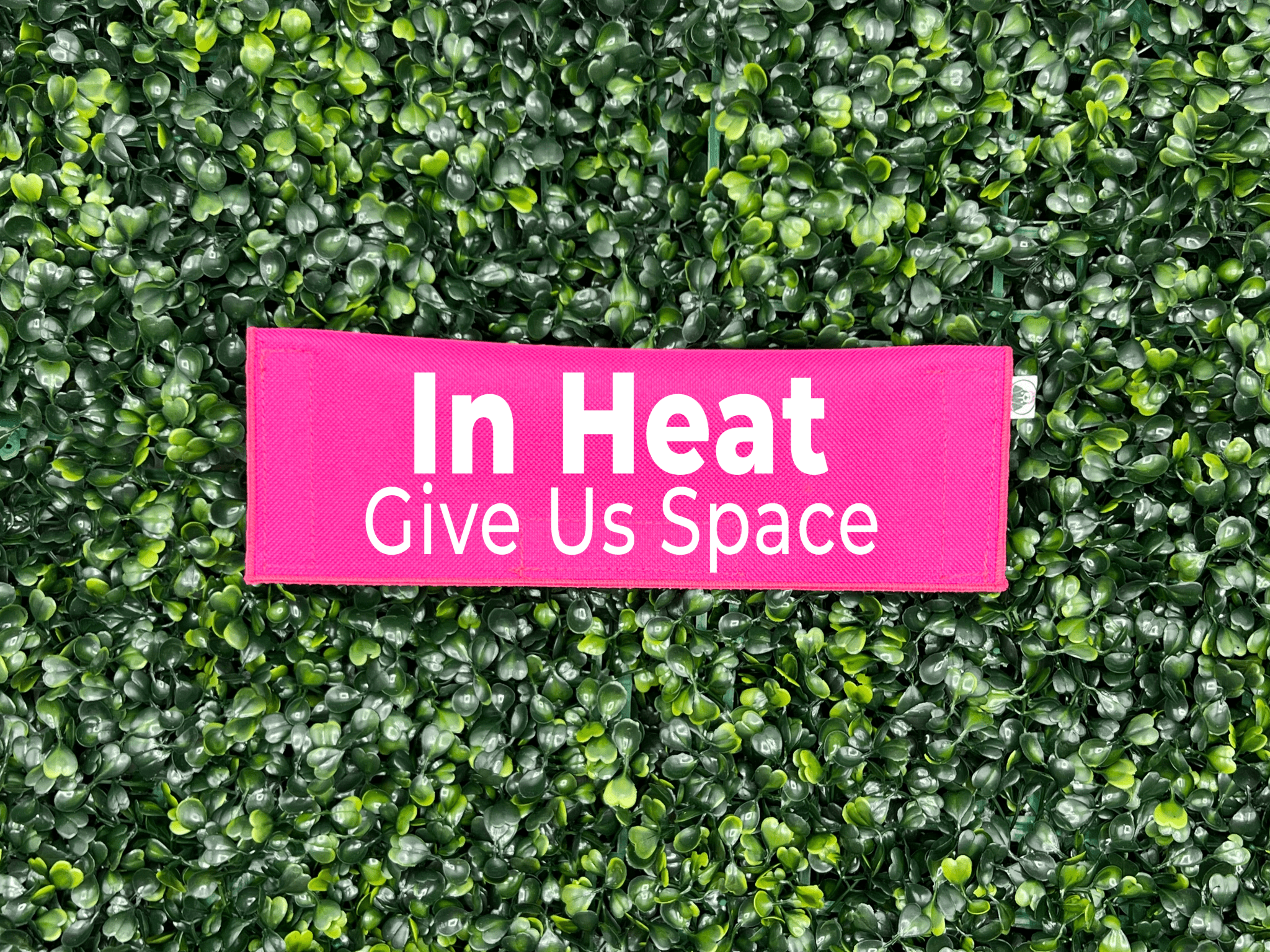 In Season / Heat Give Us Space Leash Sign - Ulti - Mutt Toys