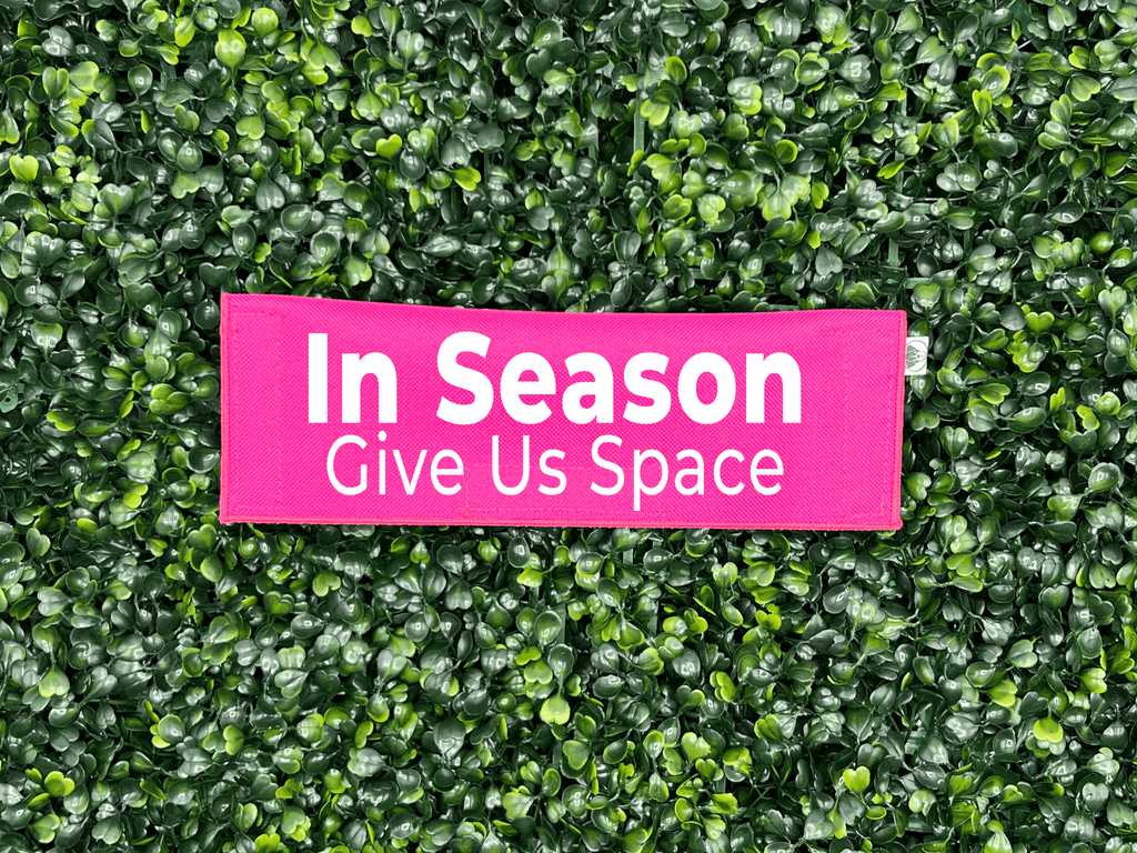 In Season / Heat Give Us Space Leash Sign - Ulti - Mutt Toys