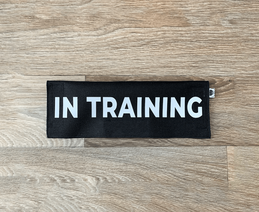 In Training - Ulti-Mutt Toys