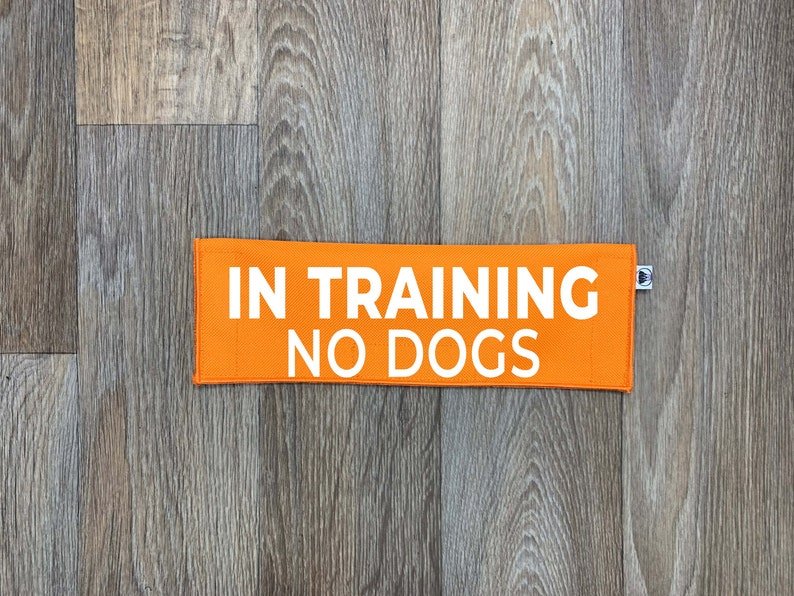 In Training - No Dogs Leash Sleeve - Ulti-Mutt Toys