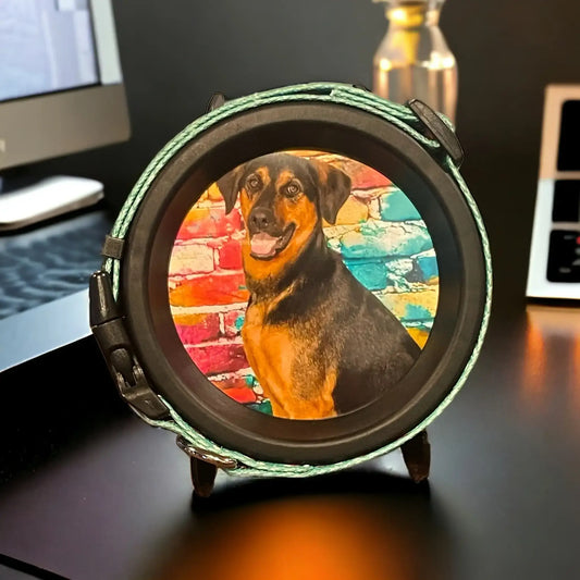 Large Dog Collar Frame and Stand Bundle | "The Labrador"