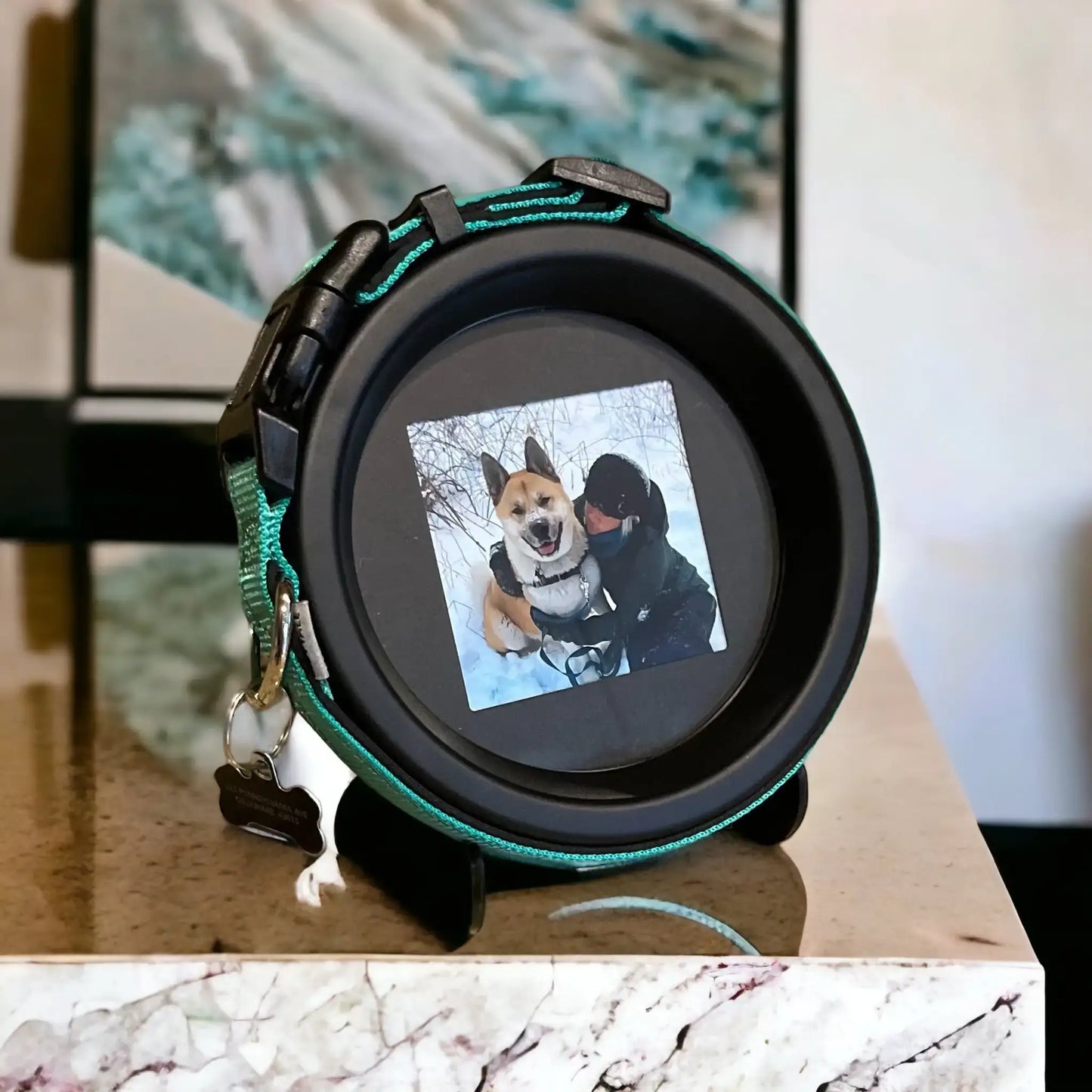 Large Dog Collar Frame and Stand Bundle | "The Labrador"