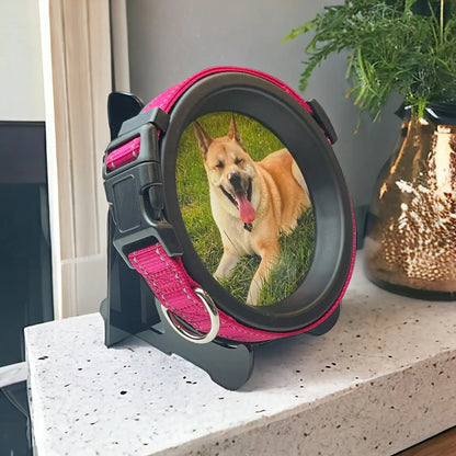Large Dog Collar Frame and Stand Bundle | "The Labrador"