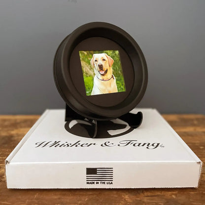 Large Dog Collar Frame and Stand Bundle | "The Labrador"