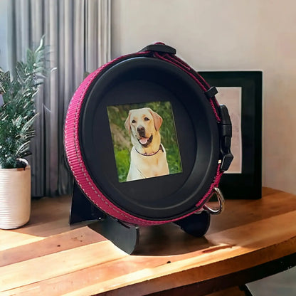 Large Dog Collar Frame and Stand Bundle | "The Labrador"