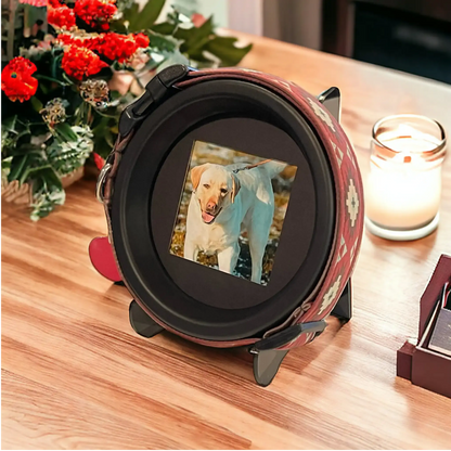Large Dog Collar Frame and Stand Bundle | "The Labrador"