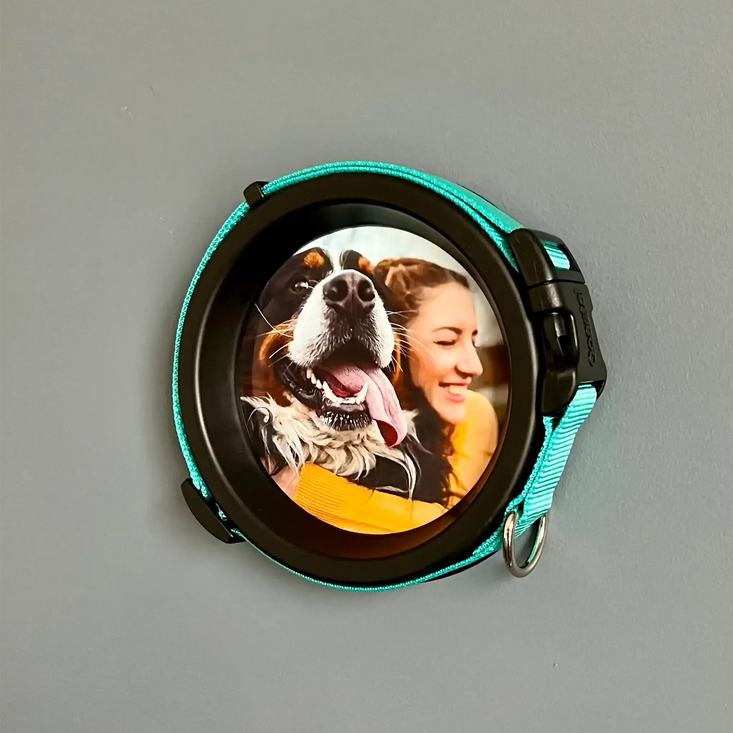 Medium Dog Collar Frame | "The Beagle"