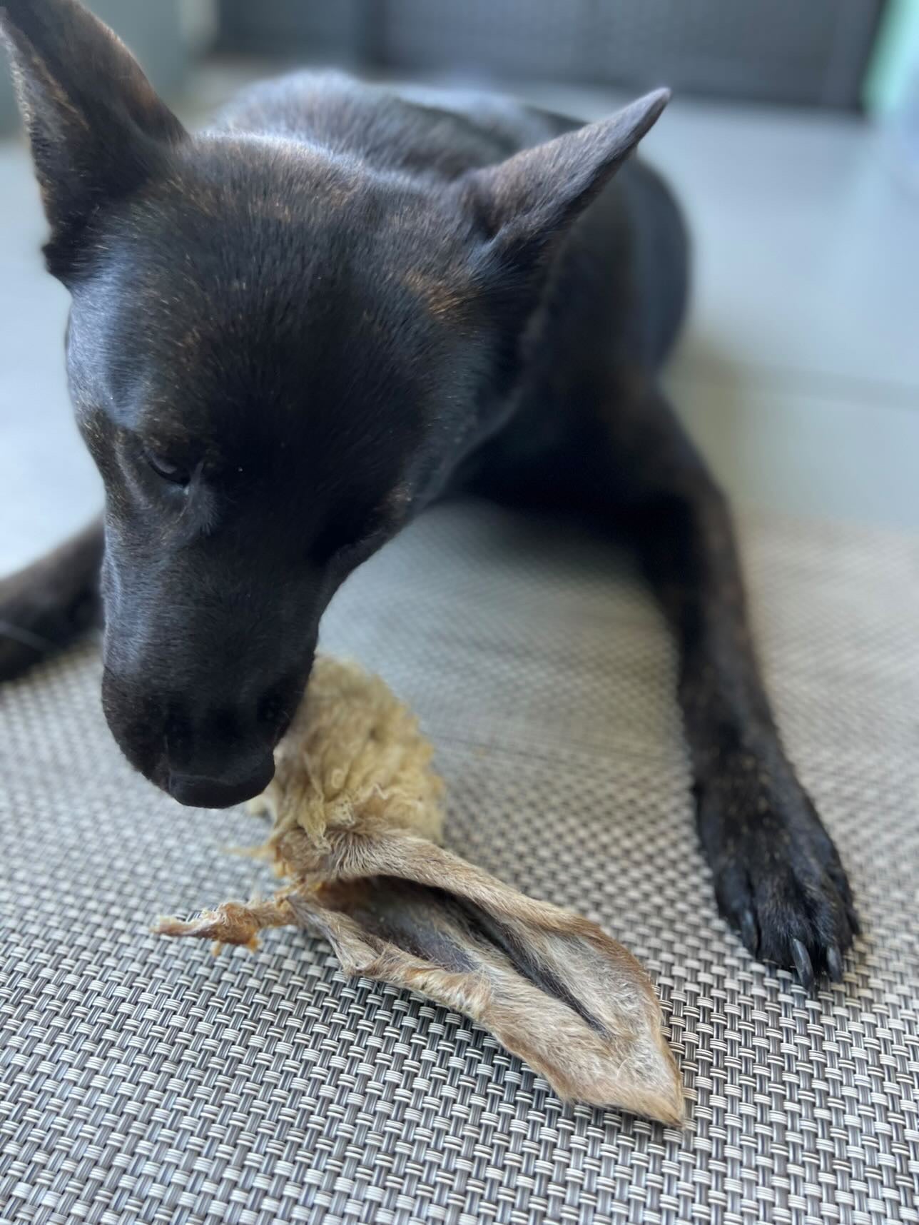 Lamb Ears - Ulti - Mutt Toys
