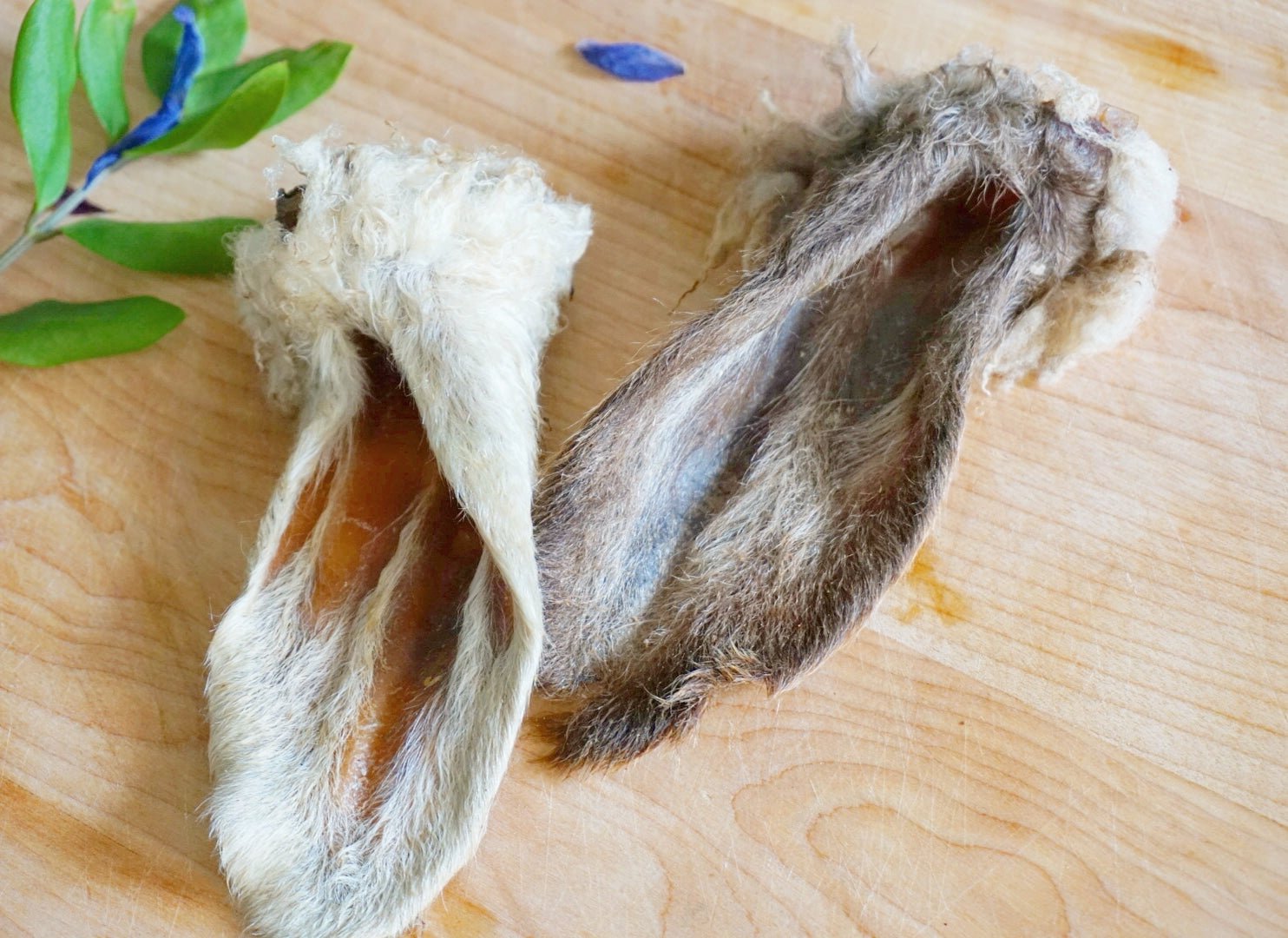 Lamb Ears - Ulti - Mutt Toys
