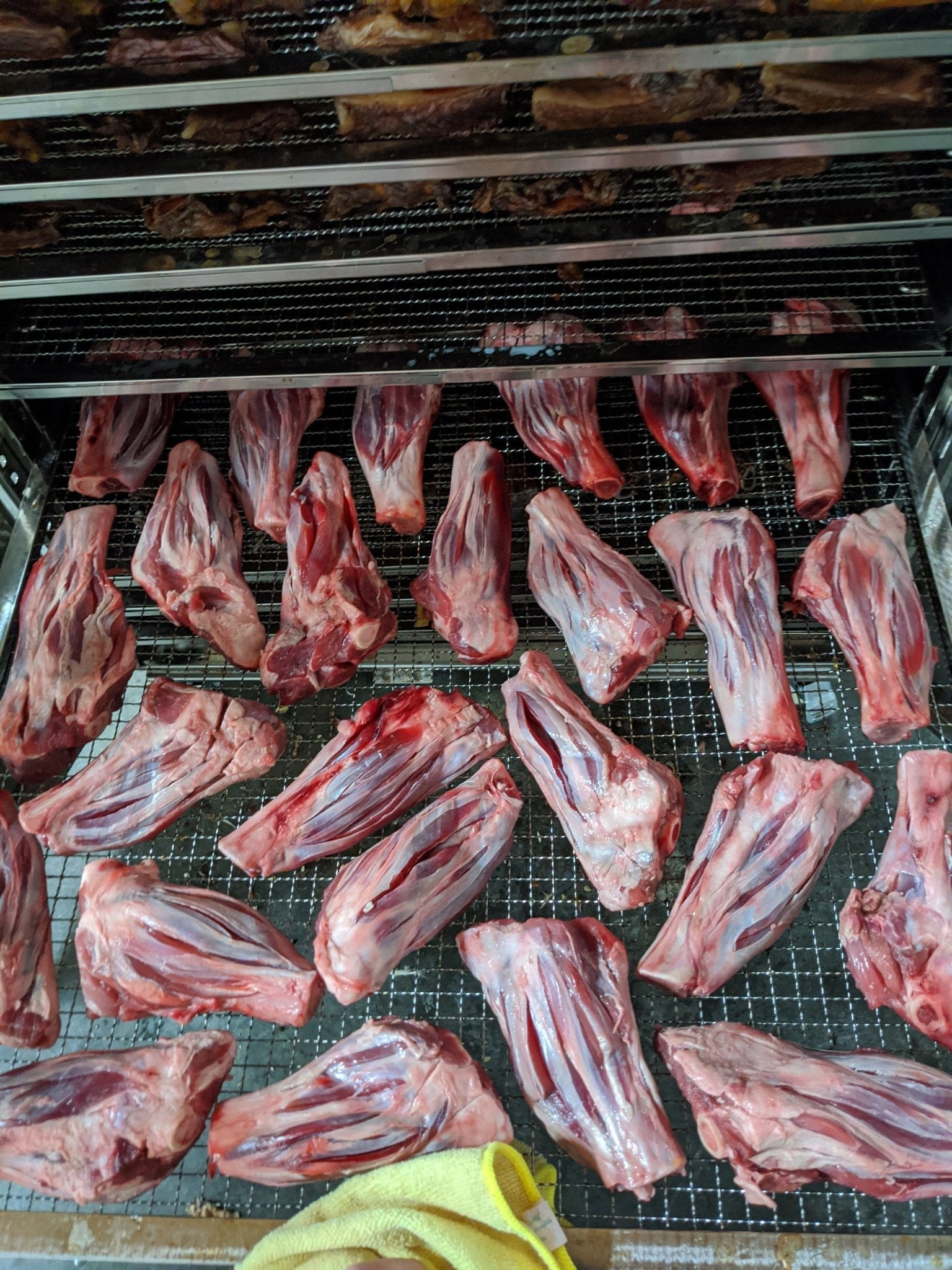 Lamb Shank (GFF & Pasture Raised) - Ulti - Mutt Toys