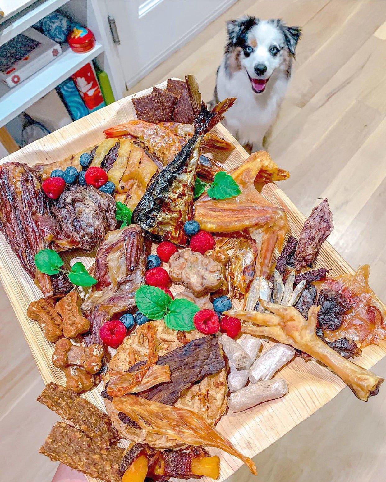 Lamb Shank (GFF & Pasture Raised) - Ulti - Mutt Toys