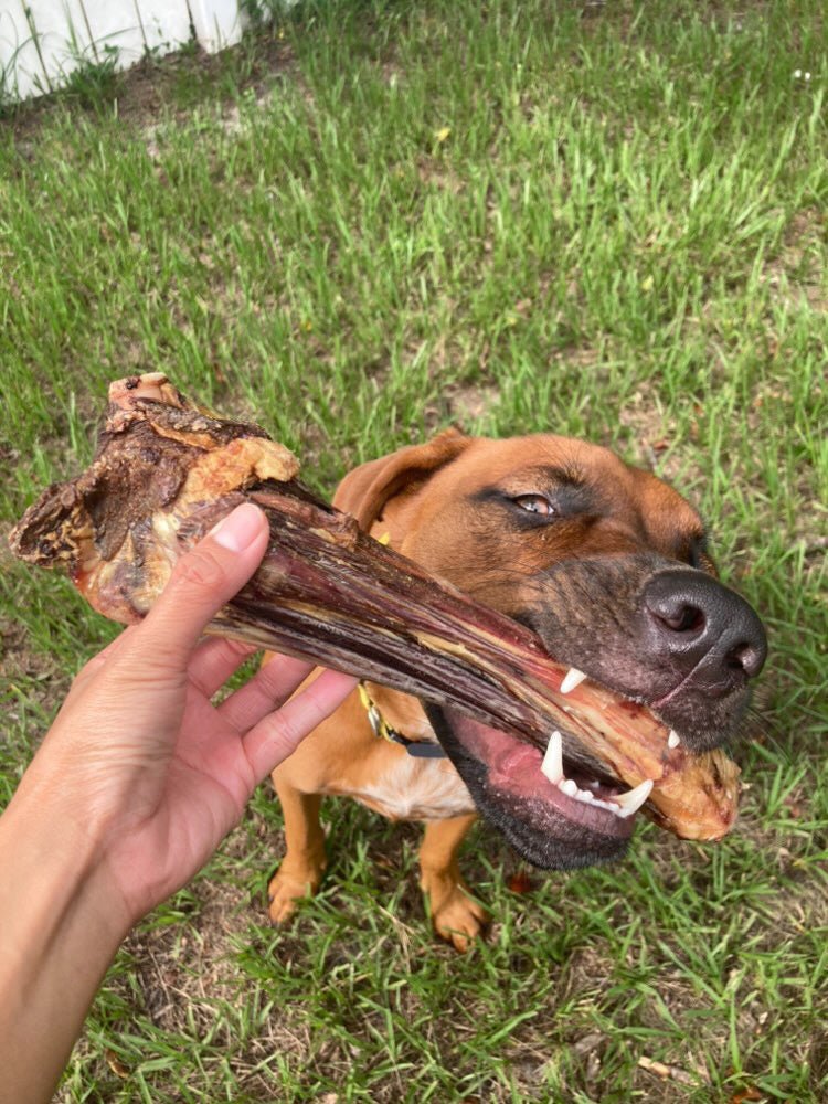 Lamb Shank (GFF & Pasture Raised) - Ulti - Mutt Toys