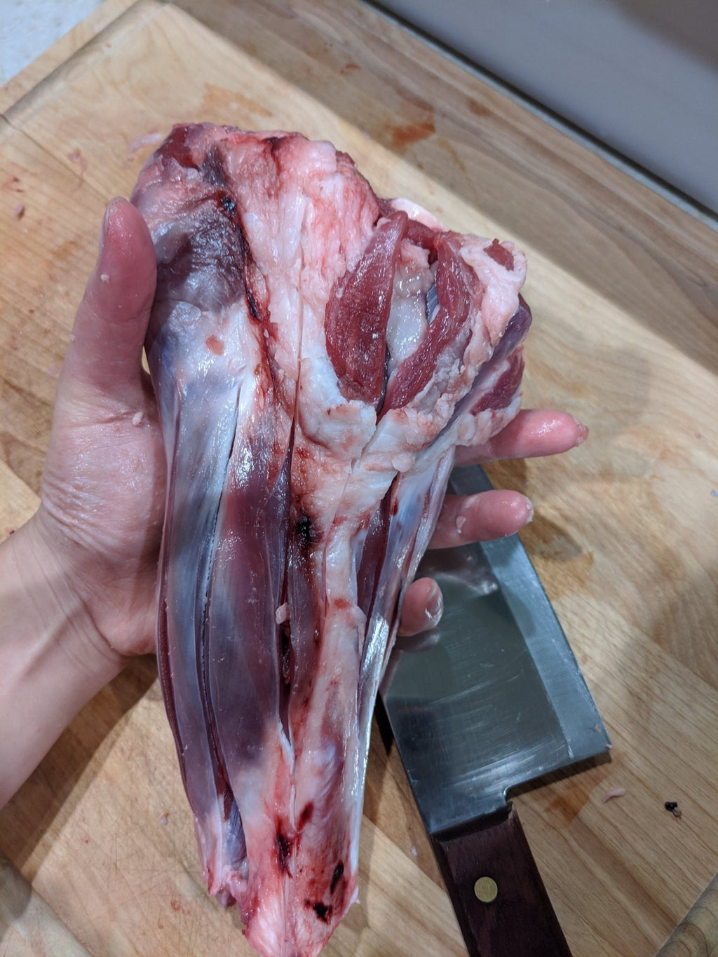 Lamb Shank (GFF & Pasture Raised) - Ulti - Mutt Toys