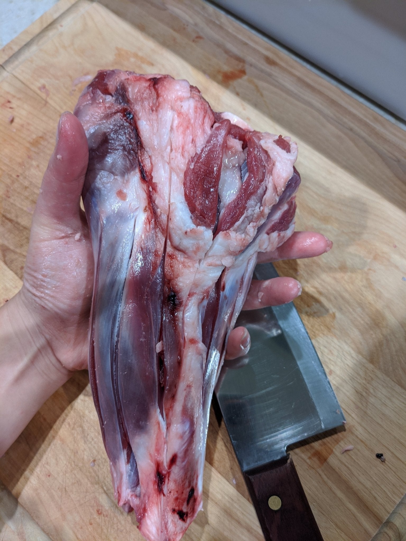 Lamb Shank (GFF & Pasture Raised) - Ulti - Mutt Toys