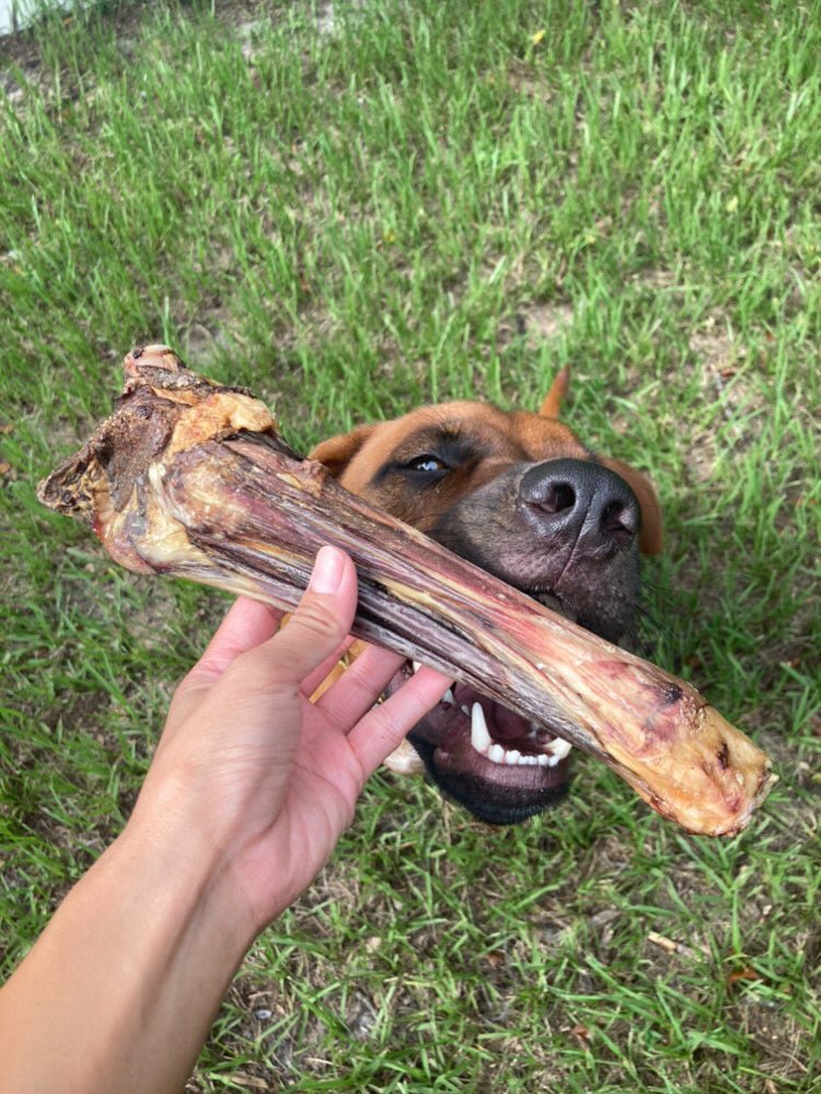 Lamb Shank (GFF & Pasture Raised) - Ulti - Mutt Toys