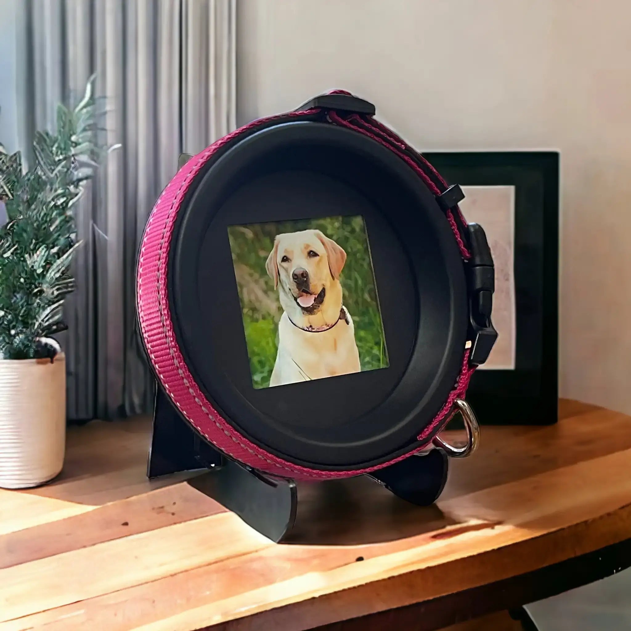Large Dog Collar Frame and Stand Bundle | "The Labrador" - Ulti - Mutt Toys