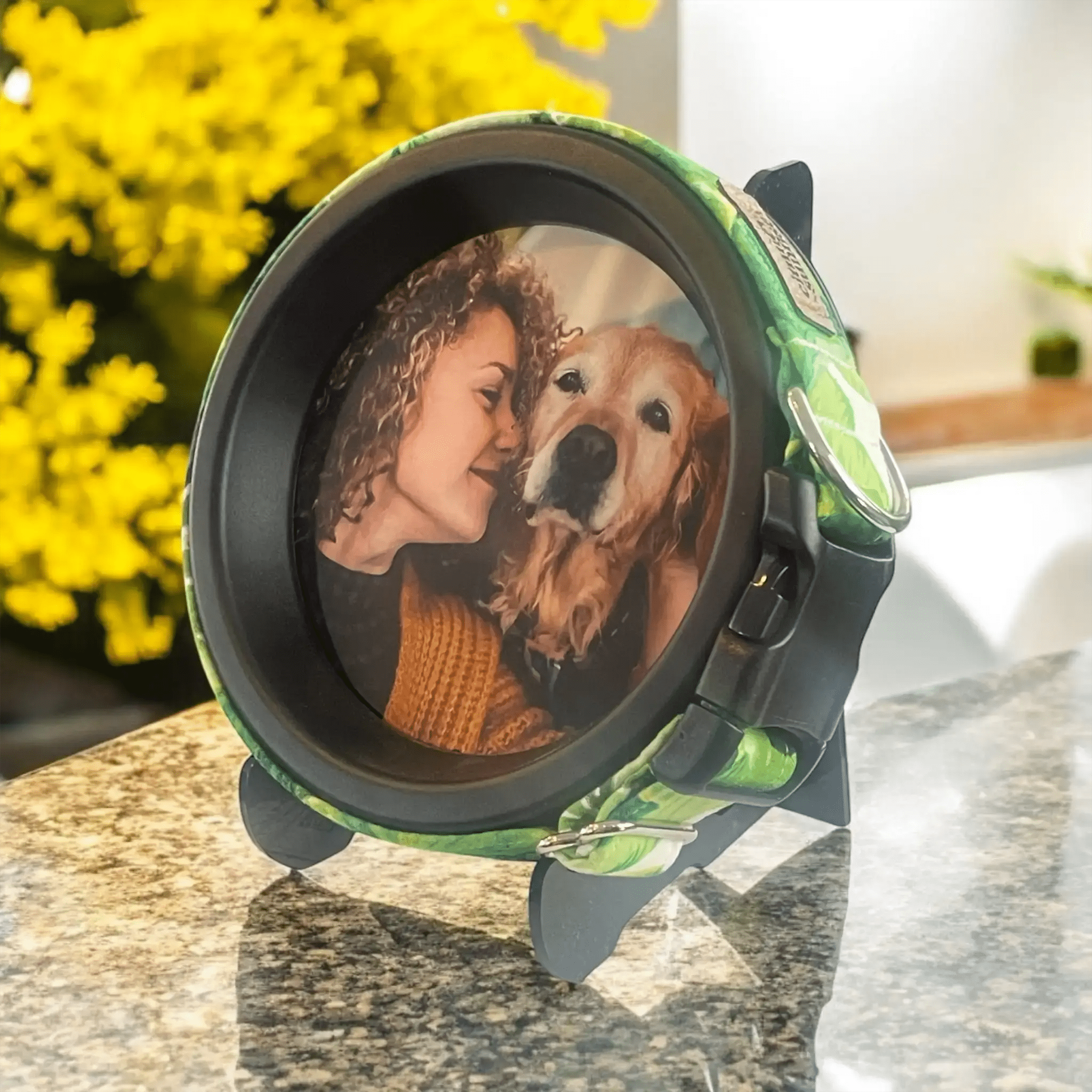 Large Dog Collar Frame and Stand Bundle | "The Labrador" - Ulti - Mutt Toys