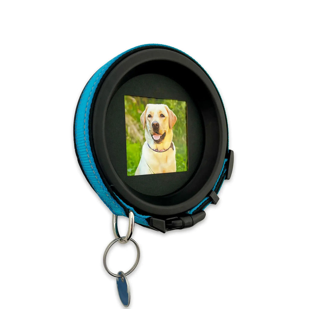 Large Dog Collar Frame | "The Labrador" - Ulti - Mutt Toys