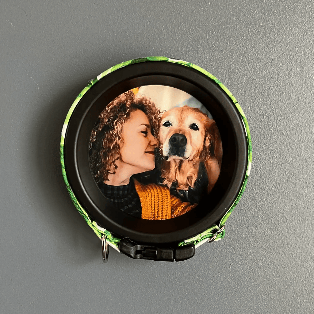 Large Dog Collar Frame | "The Labrador" - Ulti - Mutt Toys