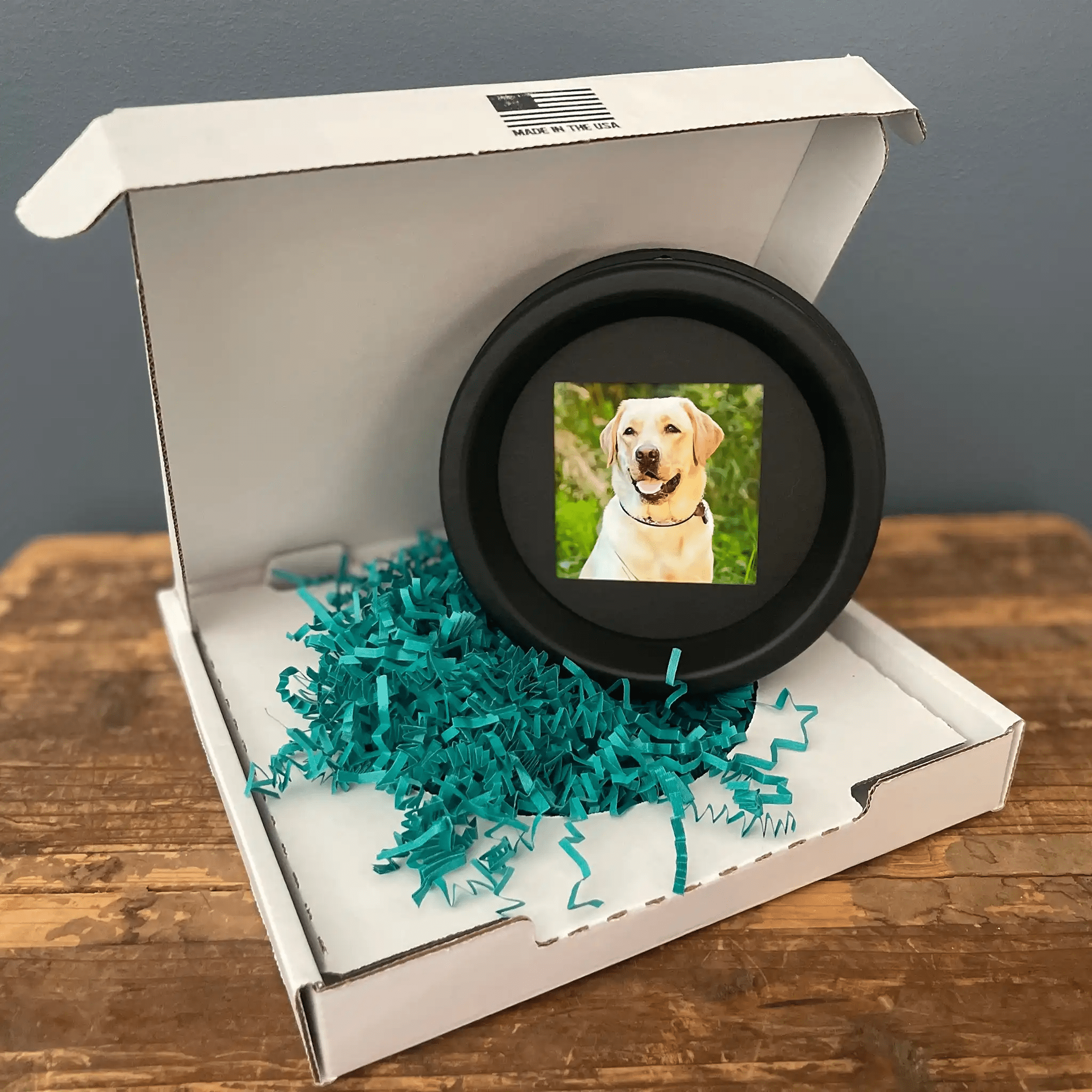 Large Dog Collar Frame | "The Labrador" - Ulti - Mutt Toys